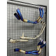 R25 - MT25 SALYANGOZ HEADERS TİTANYUM