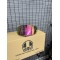AGV PİSTA GP RR PEMBE TURUNCU VİZÖR